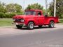 Ford F-100 Loba en Godoy Cruz