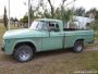 Dodge Perkins 4 en Sauce Montrull